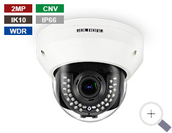 2MP Heavy-Duty Dome with Color night-vision